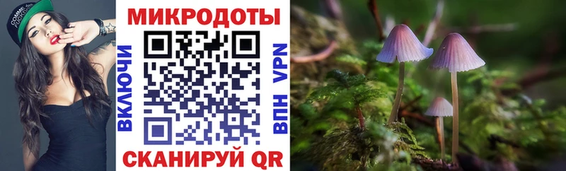 Псилоцибиновые грибы Magic Shrooms  где можно купить наркотик  Кремёнки 